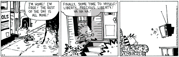 Calvin and Hobbes on Thursday December 3, 1992 Comic Strip