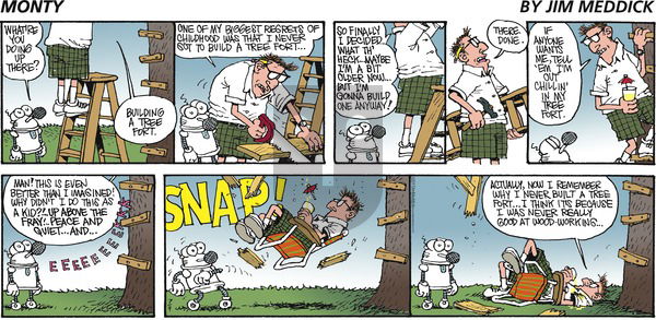 Monty on Sunday July 9, 2017 Comic Strip