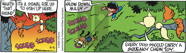 Rose is Rose on Saturday September 5, 2020 Comic Strip