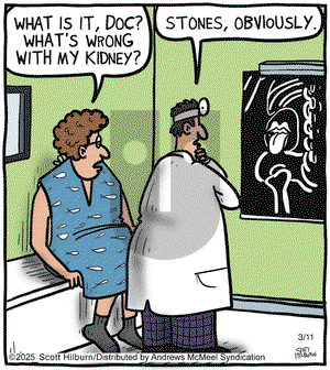 The Argyle Sweater on Tuesday March 11, 2025 Comic Strip