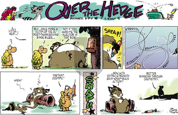 Over the Hedge on Sunday November 30, 2025 Comic Strip