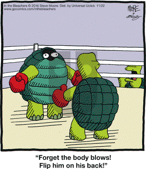 In the Bleachers on Tuesday November 22, 2016 Comic Strip