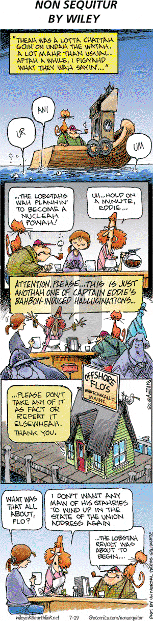 Non Sequitur on Sunday July 29, 2007 Comic Strip