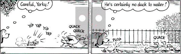 Fred Basset on Saturday July 12, 2008 Comic Strip