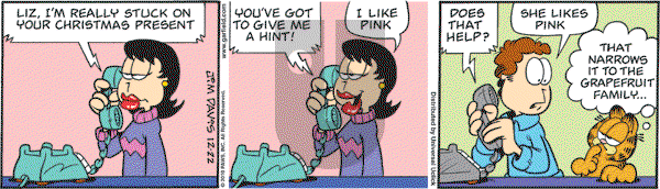 Garfield - Wednesday December 22, 2010 Comic Strip
