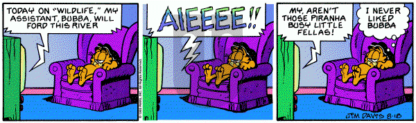 Garfield on Tuesday August 18, 1992 Comic Strip