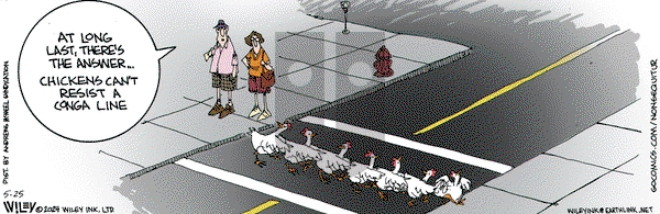 Non Sequitur - Saturday May 25, 2024 Comic Strip
