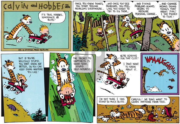 Calvin and Hobbes on Sunday May 17, 1992 Comic Strip