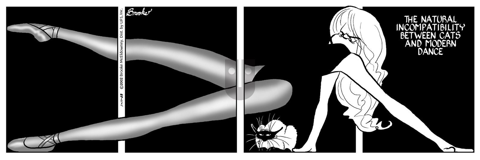 9 Chickweed Lane - Saturday January 11, 2003 Comic Strip