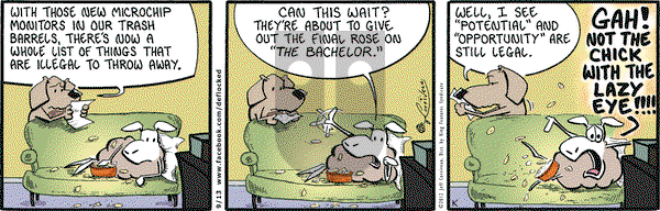 DeFlocked on Thursday September 13, 2012 Comic Strip