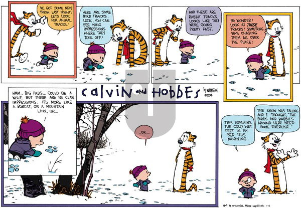 Calvin and Hobbes - Sunday January 12, 2014 Comic Strip