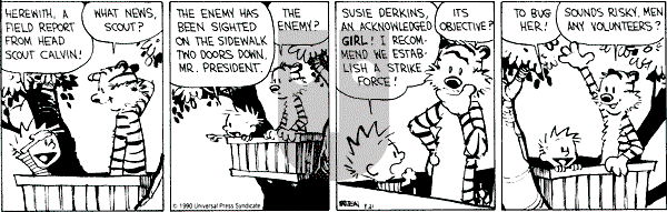 Calvin and Hobbes - Tuesday August 21, 1990 Comic Strip