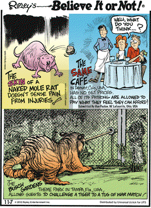 Ripley's Believe It or Not on Wednesday November 7, 2012 Comic Strip