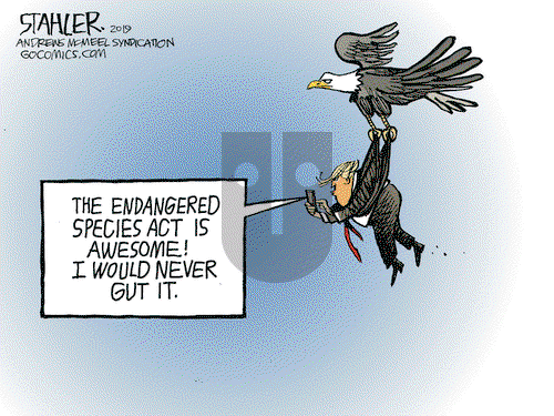 Jeff Stahler on Thursday August 15, 2019 Comic Strip