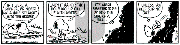 Peanuts on Saturday July 24, 1982 Comic Strip