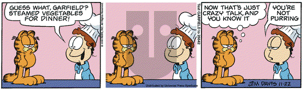 Garfield on Wednesday November 22, 2006 Comic Strip