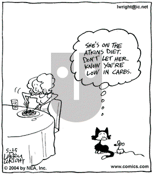 Kit 'N' Carlyle on Tuesday May 25, 2004 Comic Strip