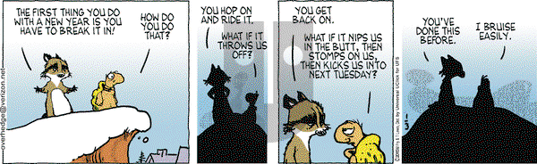 Over the Hedge on Saturday January 3, 2015 Comic Strip