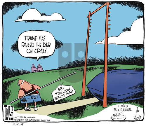 Tom Toles on Sunday December 13, 2015 Comic Strip