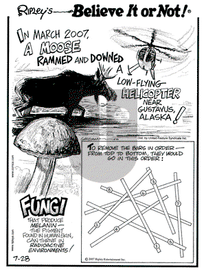 Ripley's Believe It or Not on Saturday July 28, 2007 Comic Strip