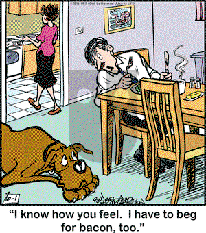 Marmaduke on Saturday October 1, 2016 Comic Strip
