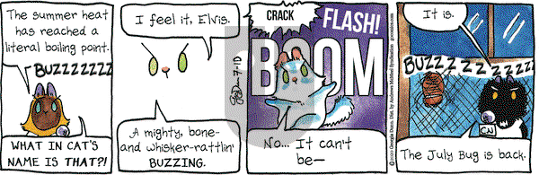 Breaking Cat News on Friday July 10, 2020 Comic Strip