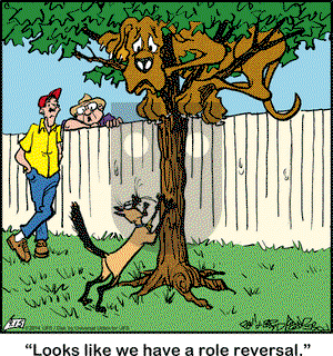 Marmaduke on Monday September 15, 2014 Comic Strip