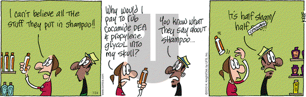 The Knight Life on Saturday July 24, 2010 Comic Strip