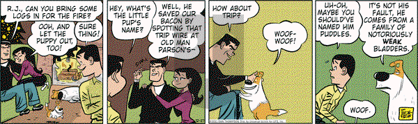 Rip Haywire - Tuesday December 27, 2011 Comic Strip