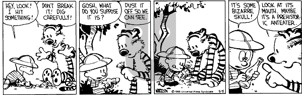 Calvin and Hobbes - Thursday May 5, 1988 Comic Strip