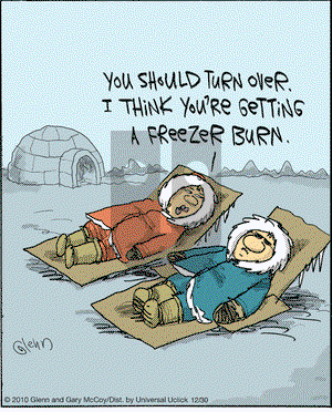 The Flying McCoys on Friday December 30, 2016 Comic Strip