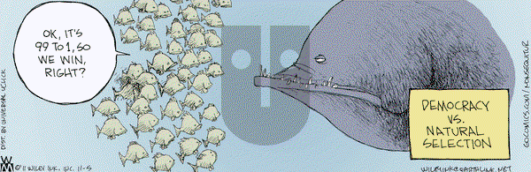 Non Sequitur on Saturday November 5, 2011 Comic Strip