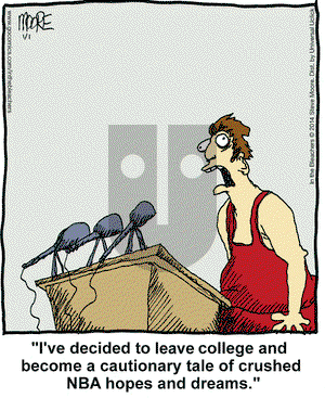 In the Bleachers on Wednesday January 1, 2014 Comic Strip