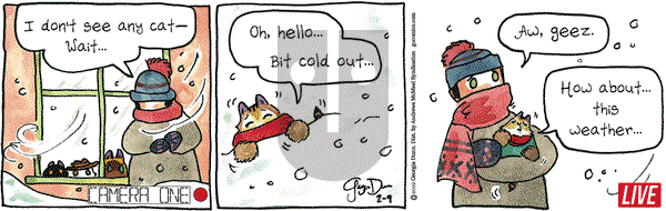 Breaking Cat News on Saturday February 9, 2019 Comic Strip