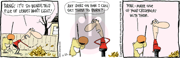 The Duplex on Wednesday November 22, 2000 Comic Strip