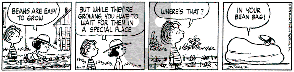 Peanuts on Tuesday June 12, 1979 Comic Strip