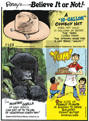 Ripley's Believe It or Not on Saturday November 23, 2013 Comic Strip
