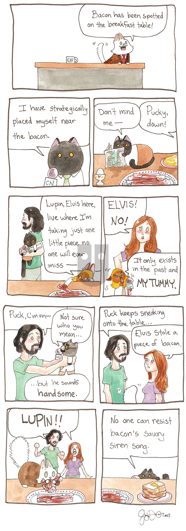 Breaking Cat News on Monday February 15, 2016 Comic Strip