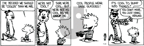 Calvin and Hobbes - Friday July 23, 2021 Comic Strip