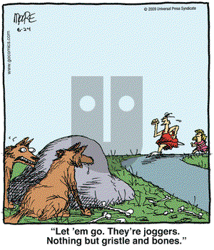 In the Bleachers on Wednesday June 24, 2009 Comic Strip
