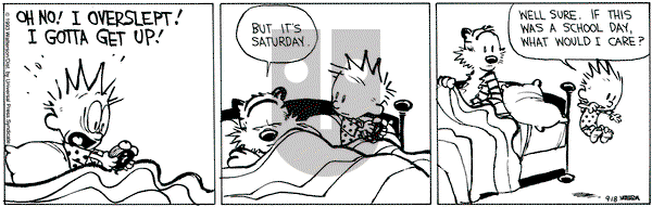 Calvin and Hobbes on Saturday September 18, 1993 Comic Strip