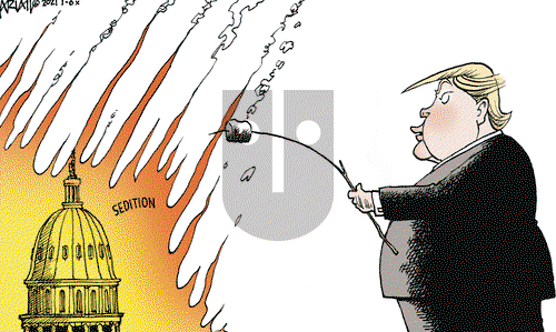 Robert Ariail on Wednesday January 6, 2021 Comic Strip