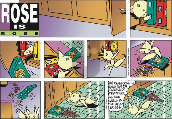 Rose is Rose on Sunday November 15, 2020 Comic Strip