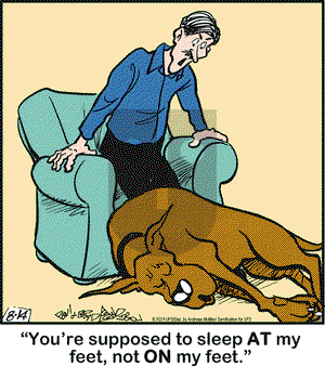 Marmaduke on Wednesday August 14, 2019 Comic Strip