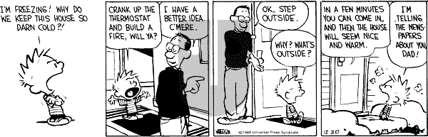 Calvin and Hobbes - Tuesday December 20, 1988 Comic Strip