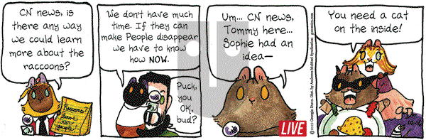 Breaking Cat News on Wednesday October 16, 2019 Comic Strip