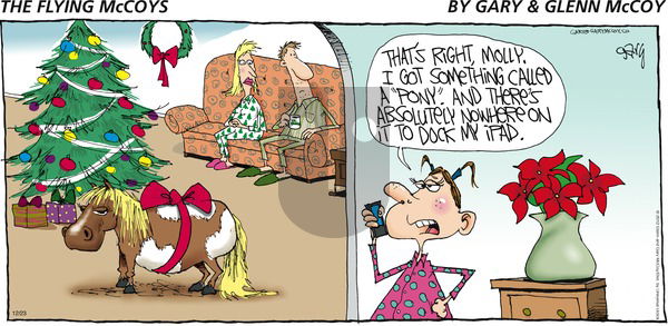 The Flying McCoys on Sunday December 23, 2012 Comic Strip