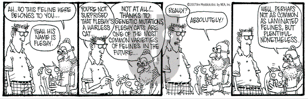 Monty on Monday June 11, 2007 Comic Strip