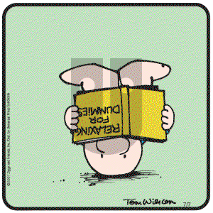 Ziggy - Saturday July 7, 2007 Comic Strip
