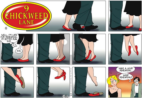 9 Chickweed Lane on Sunday August 16, 2009 Comic Strip